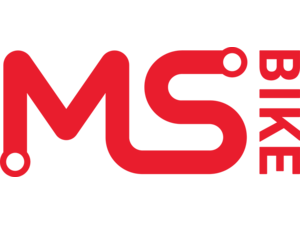 Megasoft
