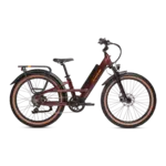 Rad Power Bikes Rad Power Radster Trail