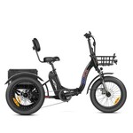 Addmotor Triketan II
