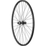 Quality Wheels Quality Wheels Value Double Wall Series Rim+Disc Rear Wheel - 700, QR x135mm, Center-Lock, HG10, Black, Clincher