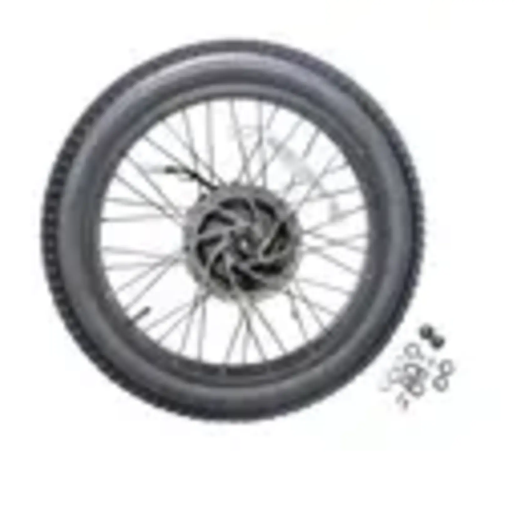 Lectric Lectric Rear Wheel - XP 2.0/3.0, Rear