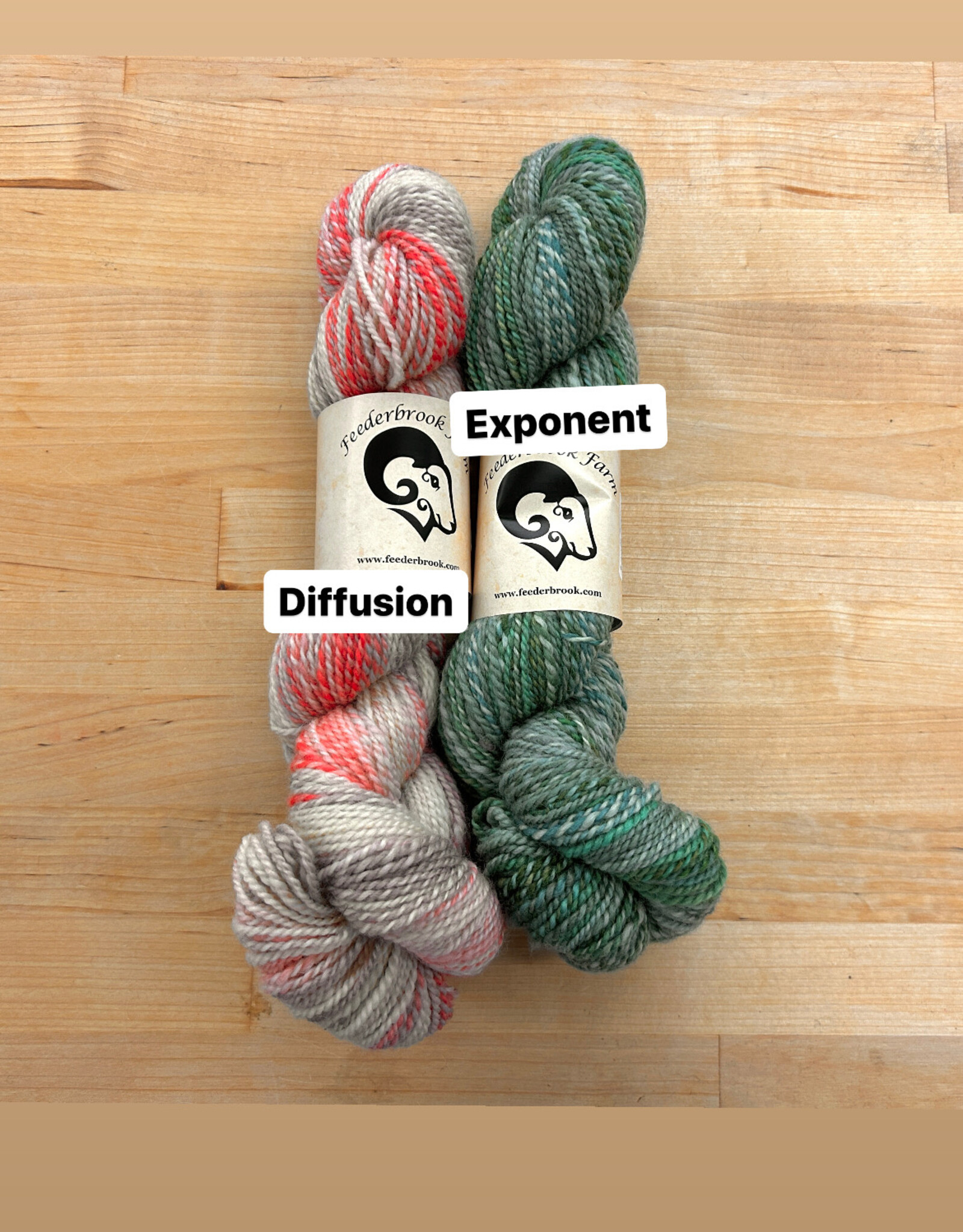 Feederbrook Farm Feederbrook Entropy DK