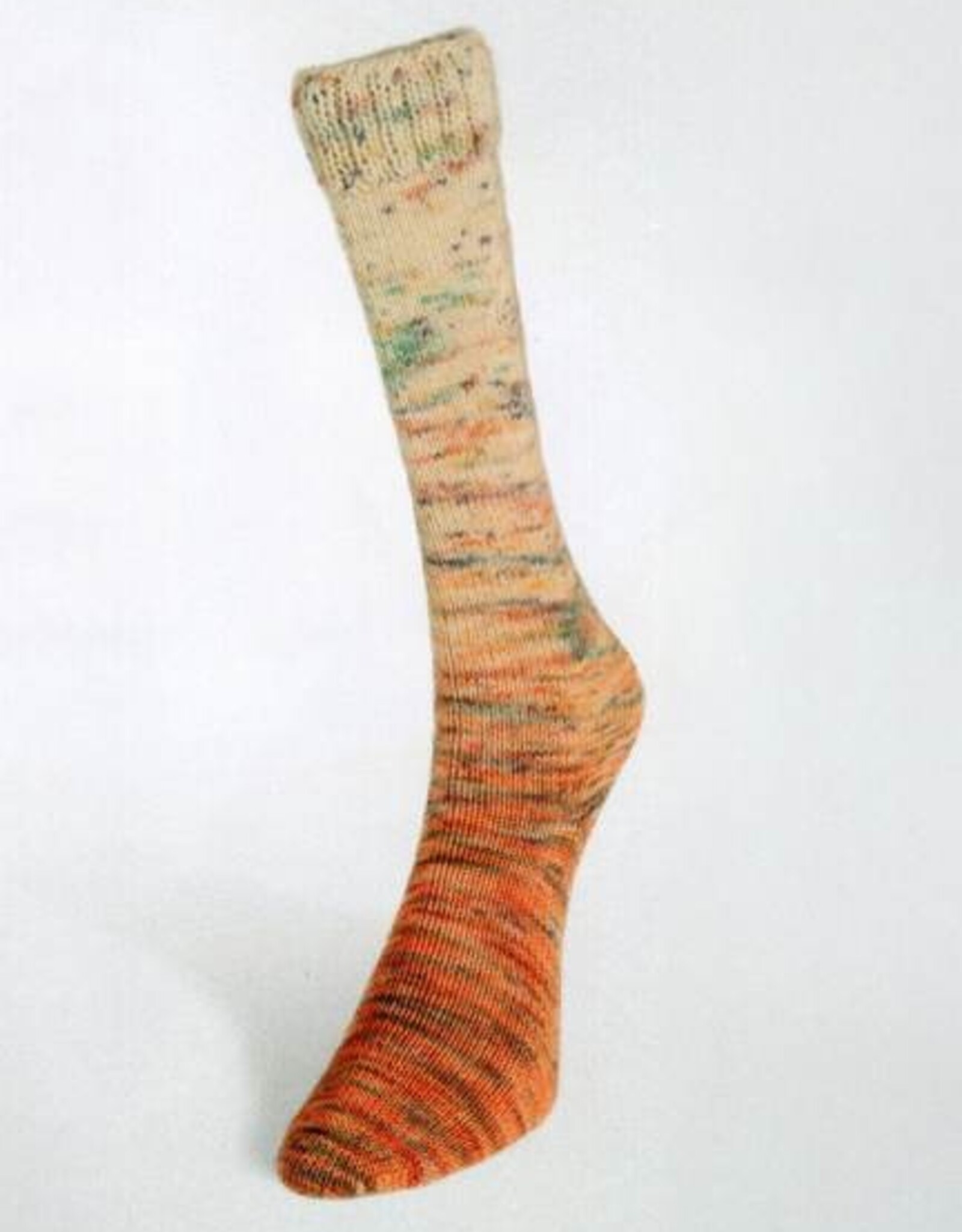 Laine du Nord Paint Gradient Sock