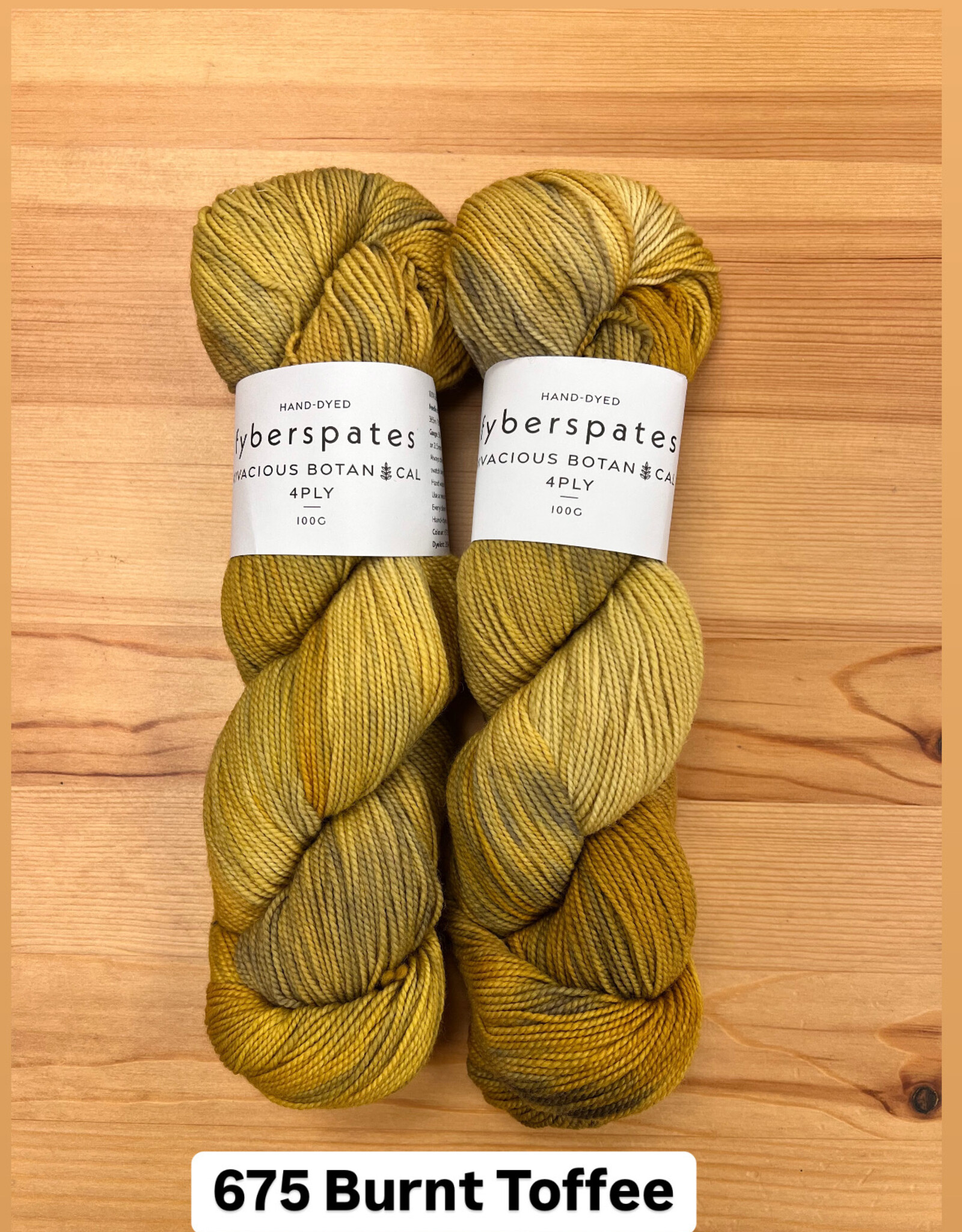 Fyberspates FS Vivacious Botanical 4 ply