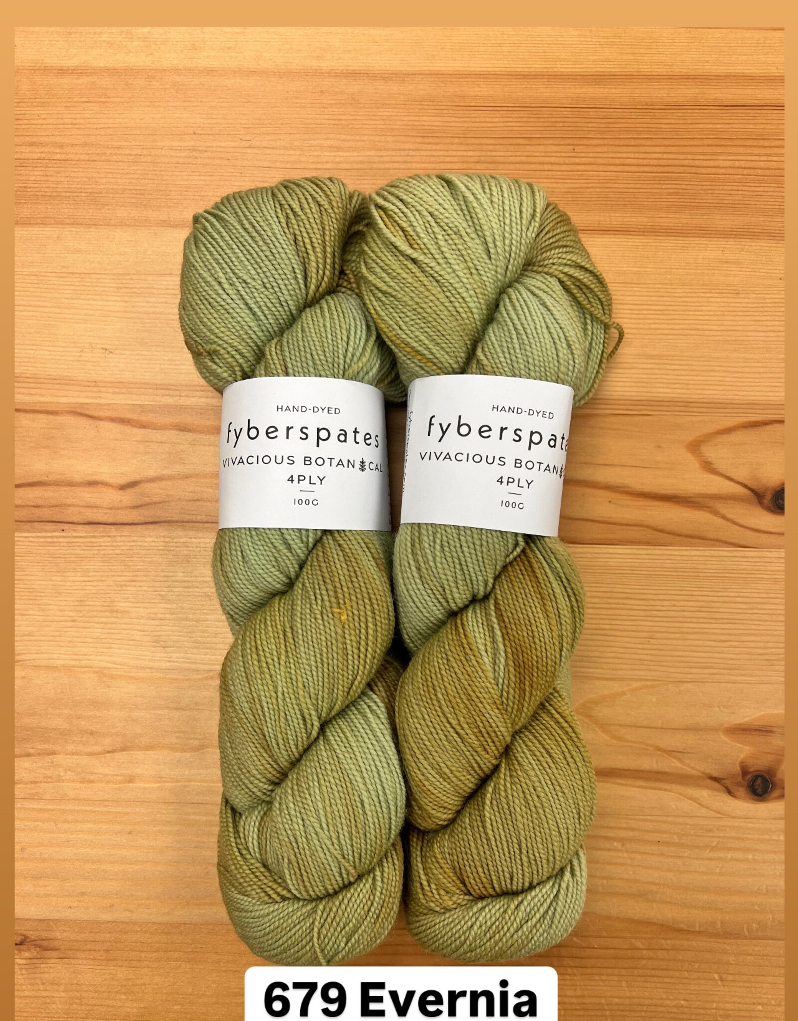 Fyberspates FS Vivacious Botanical 4 ply