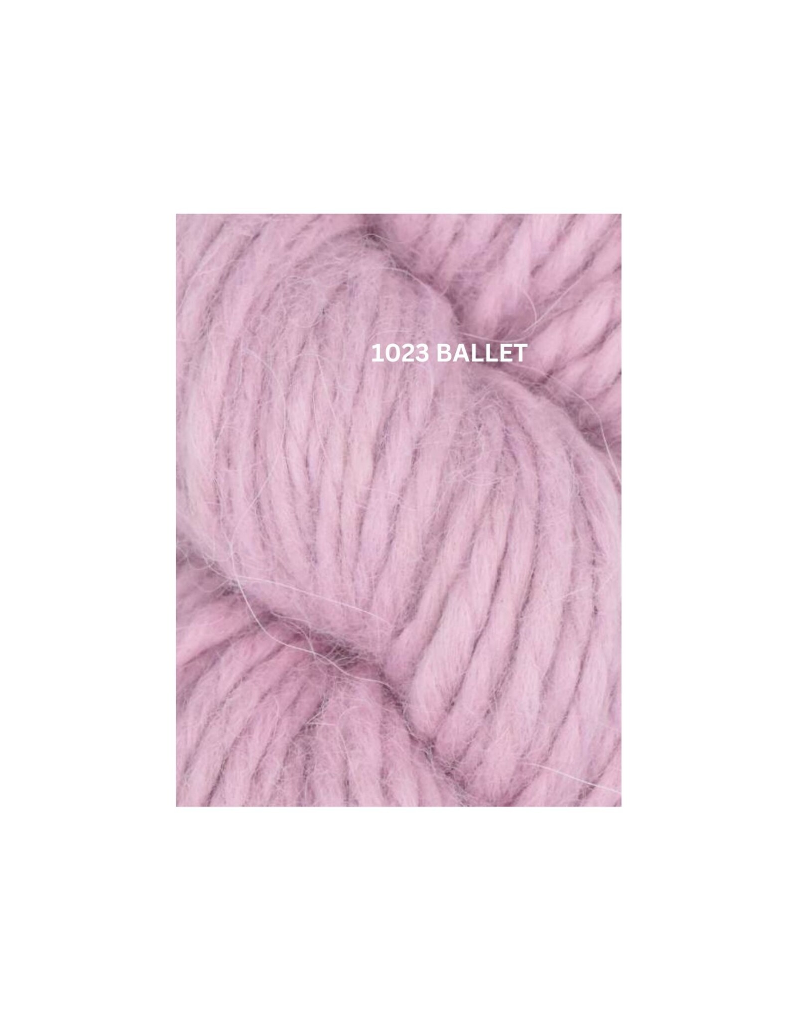 Mirasol Mirasol Llama Hasa