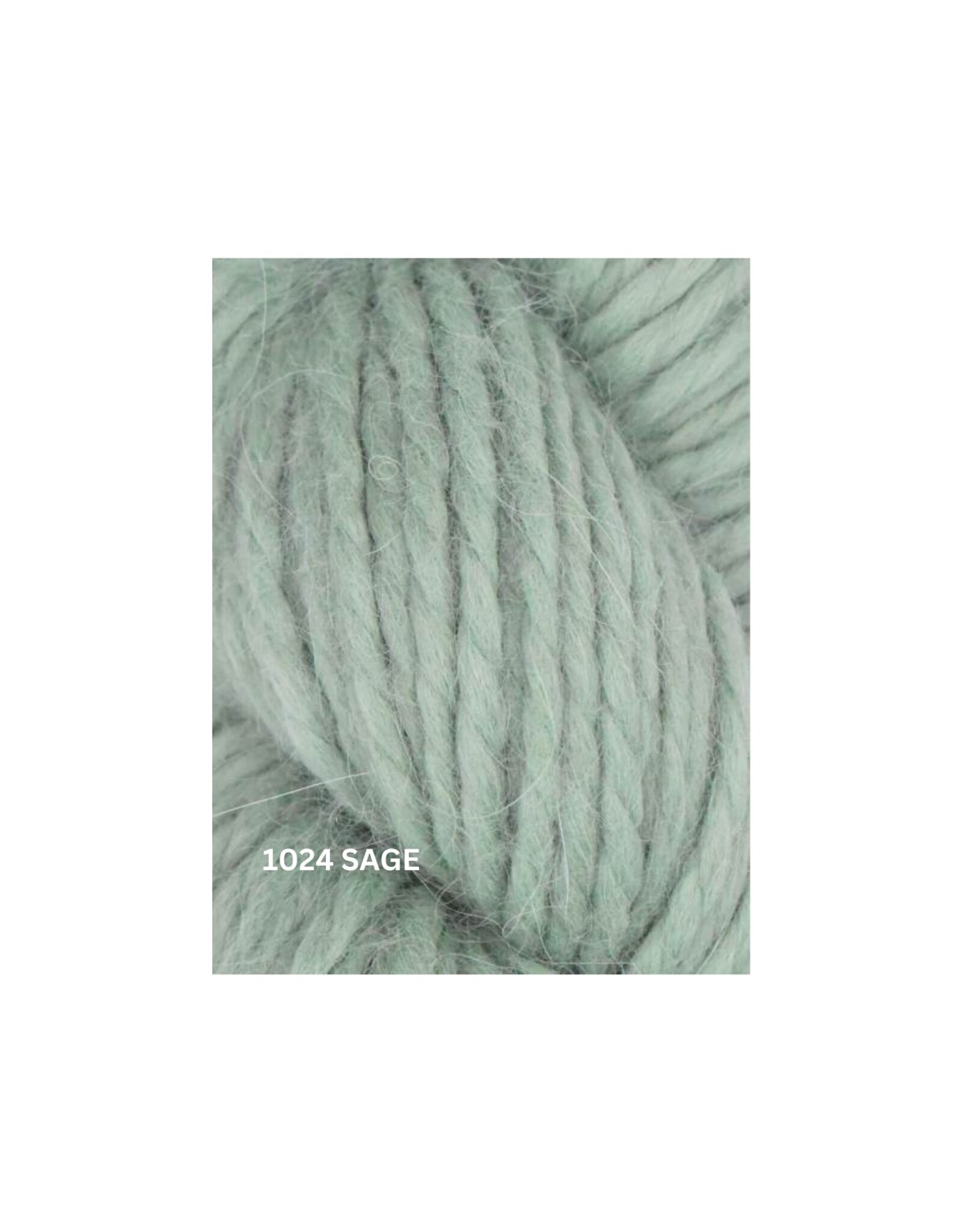 Mirasol Mirasol Llama Hasa