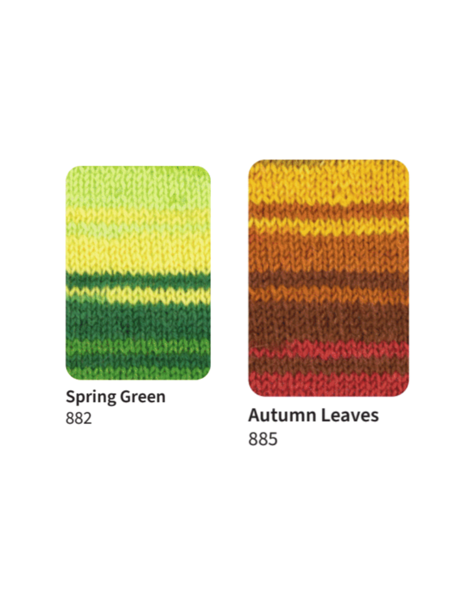 West Yorkshire Spinners WYS Signature 4ply