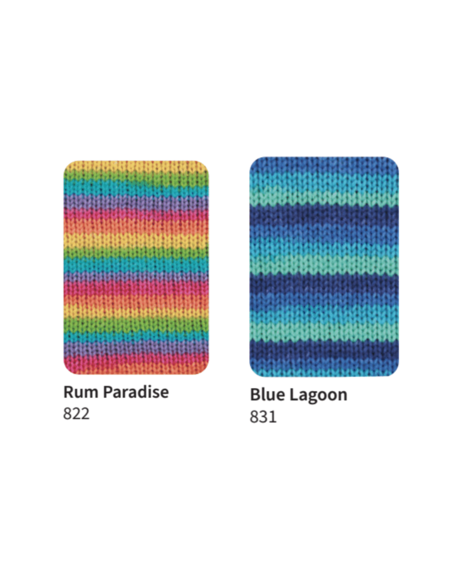 West Yorkshire Spinners WYS Signature 4ply