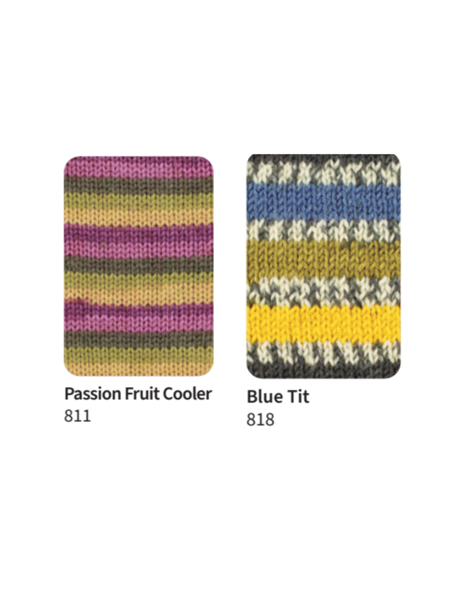 West Yorkshire Spinners WYS Signature 4ply