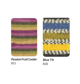 West Yorkshire Spinners WYS Signature 4ply