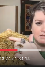 Virtual one-on-one appointment with Rebecca: one hour