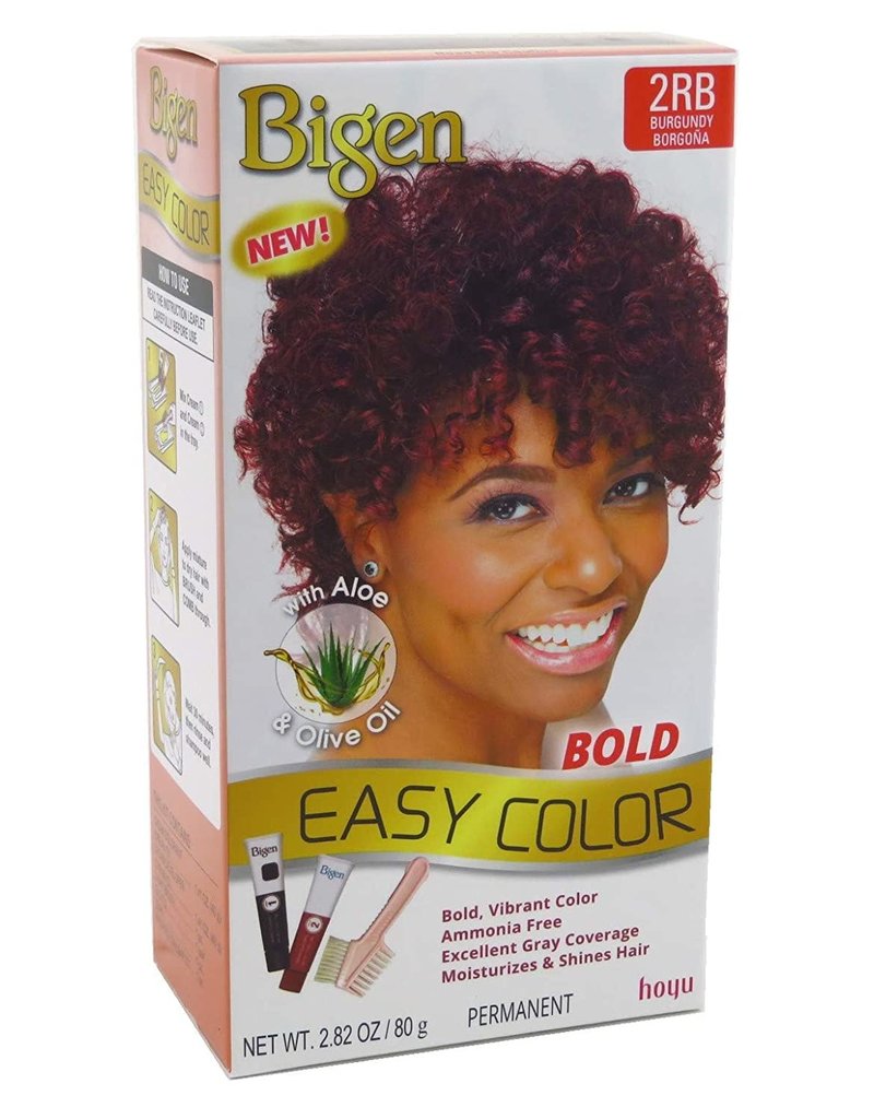 Bigen Easy Color Hair Color 2.82 oz