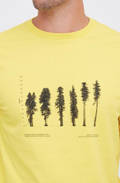 Ten Tree TenTree Nat'l Geographic Redwood Longsleeve Super Lemon