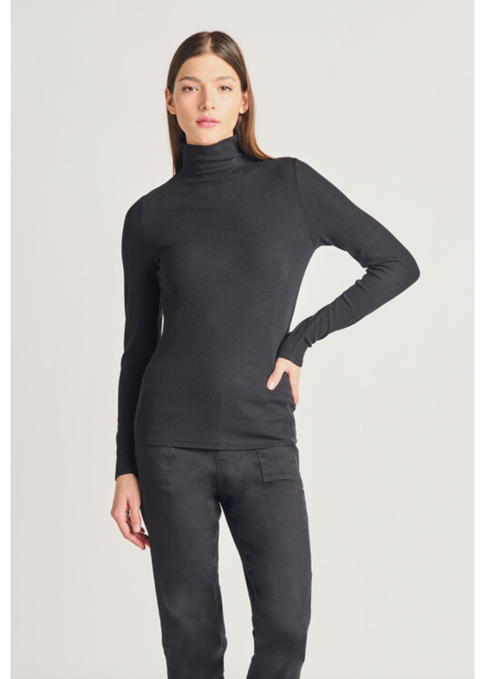 Dex Dex Basic Ribbed Mockneck