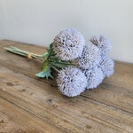 Globe Thistle Bundle, 15"