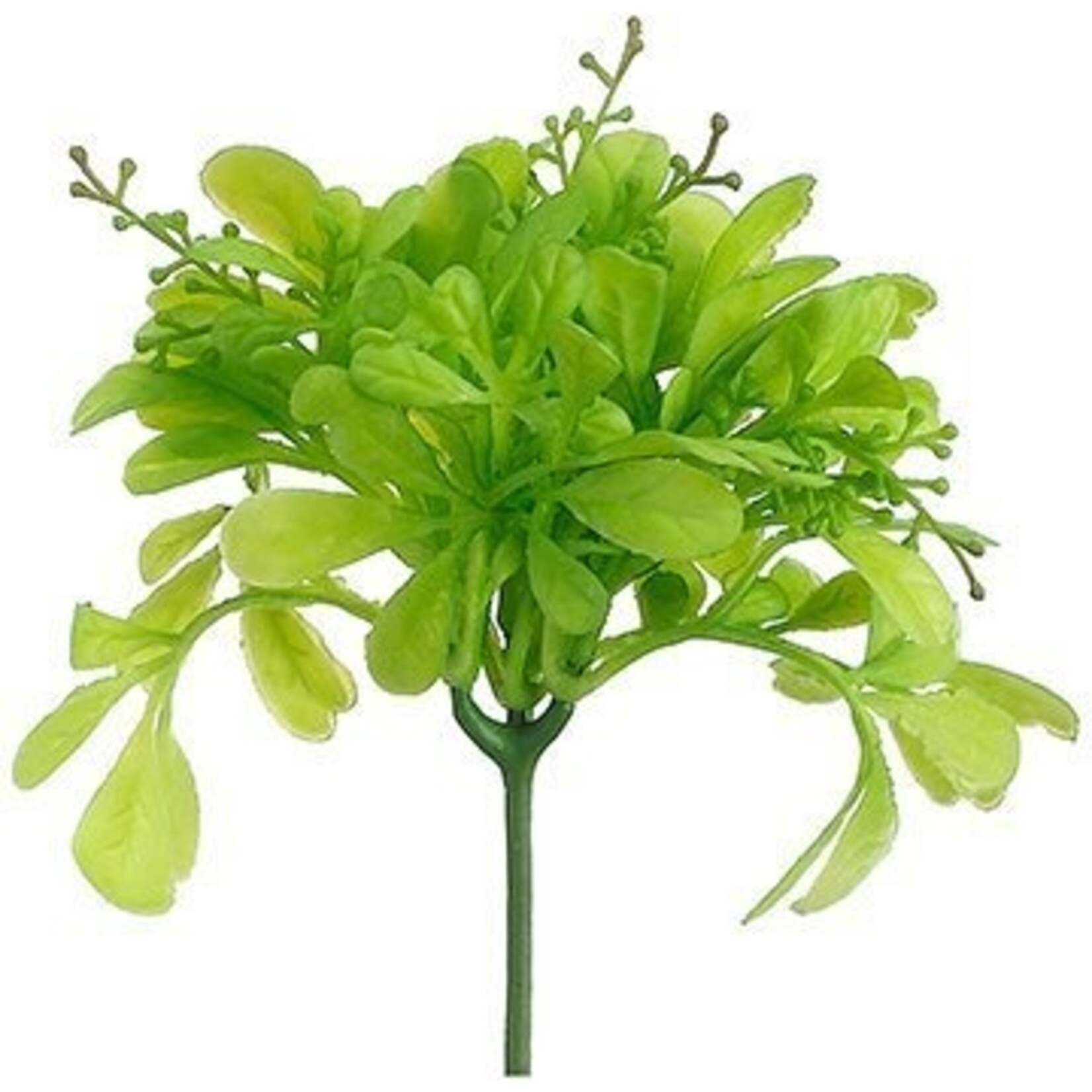 8" Soft Odorata Leaf Pick