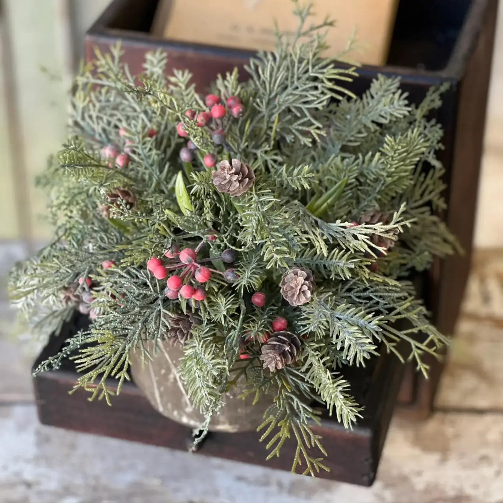 Siberian Cypress Half Sphere, 12"