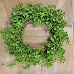 Evergreen Boxwood Wreath, 22"