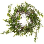 Boxwood Twig Wreath, 20"