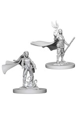 Wiz-Kids D&D Minis: W4 Elf Female Druid