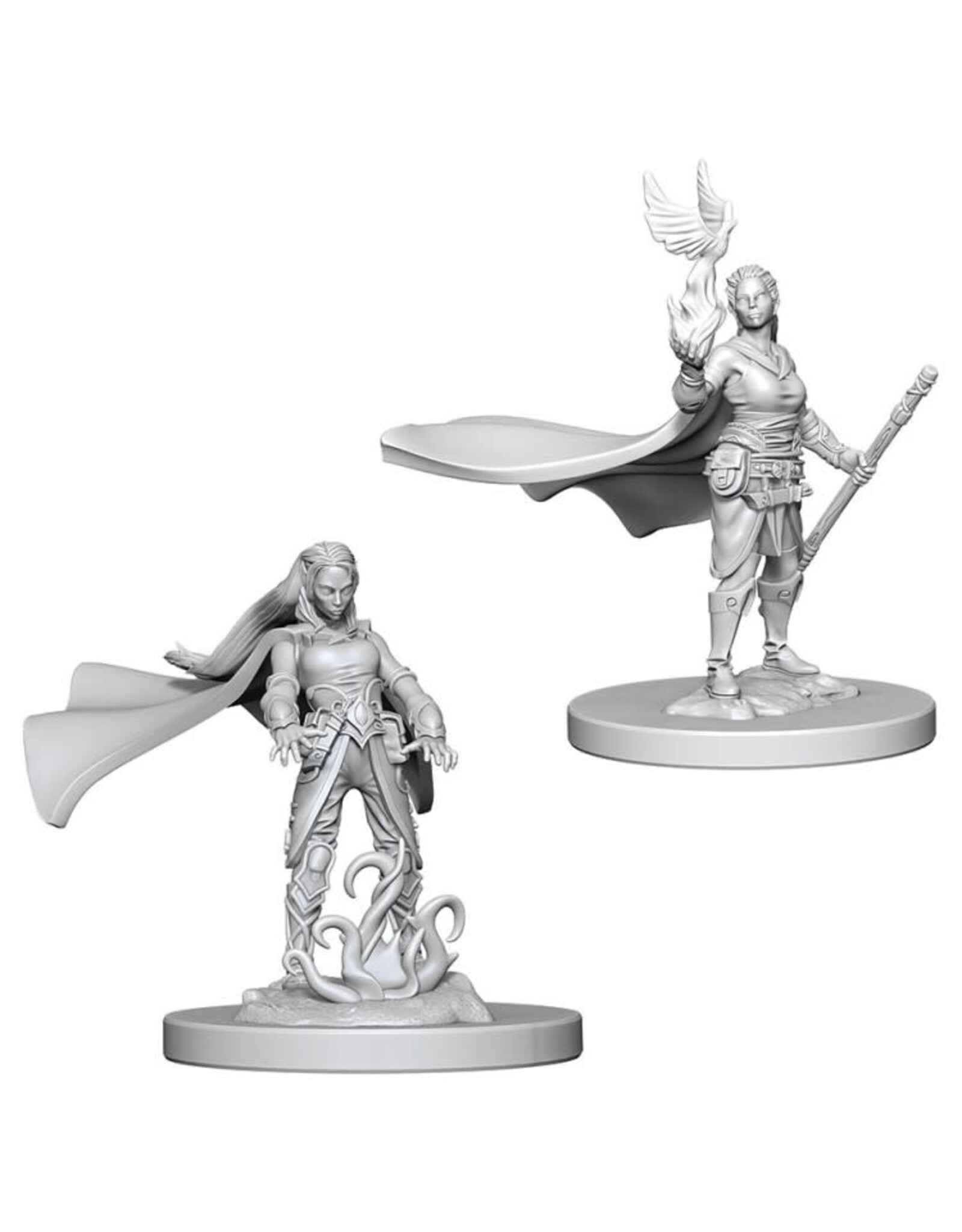 Wiz-Kids D&D Minis: W4 Elf Female Druid