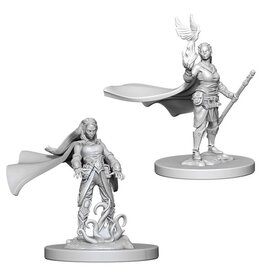 Wiz-Kids D&D Minis: W4 Elf Female Druid
