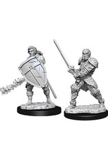 Wiz-Kids D&D Minis: W8 Male Human Fighter