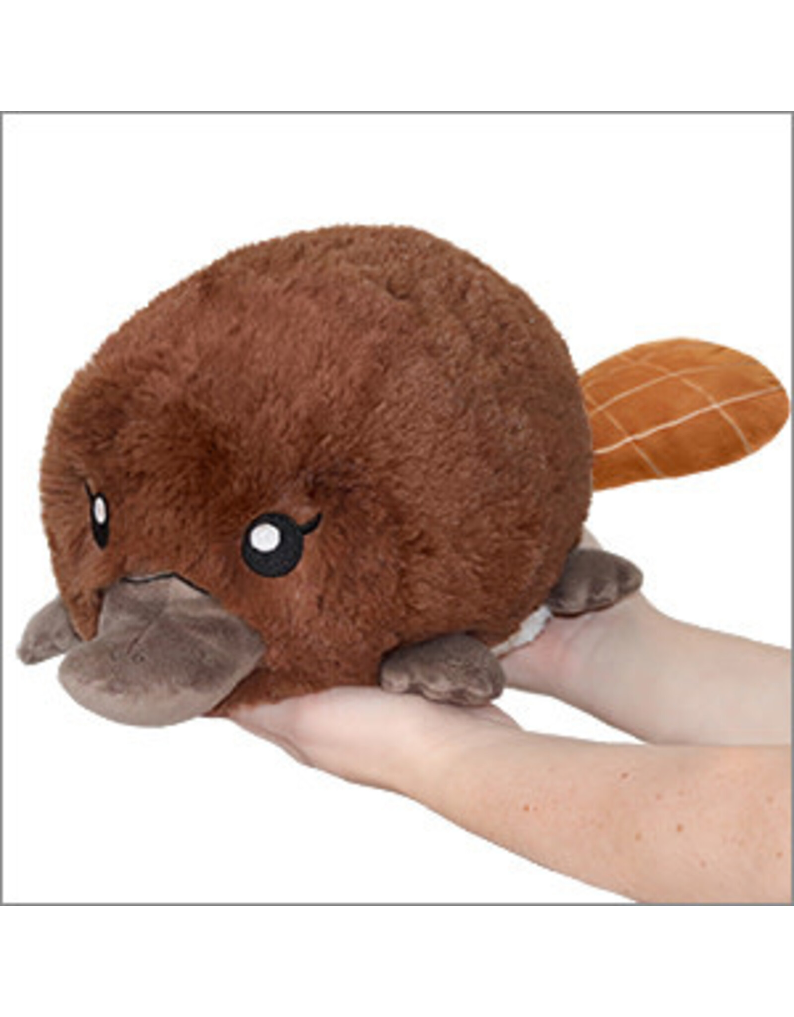 Mini Baby Platypus 7" Plush