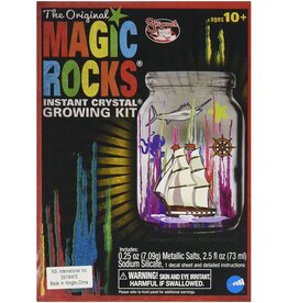 Toysmith Magic Rocks