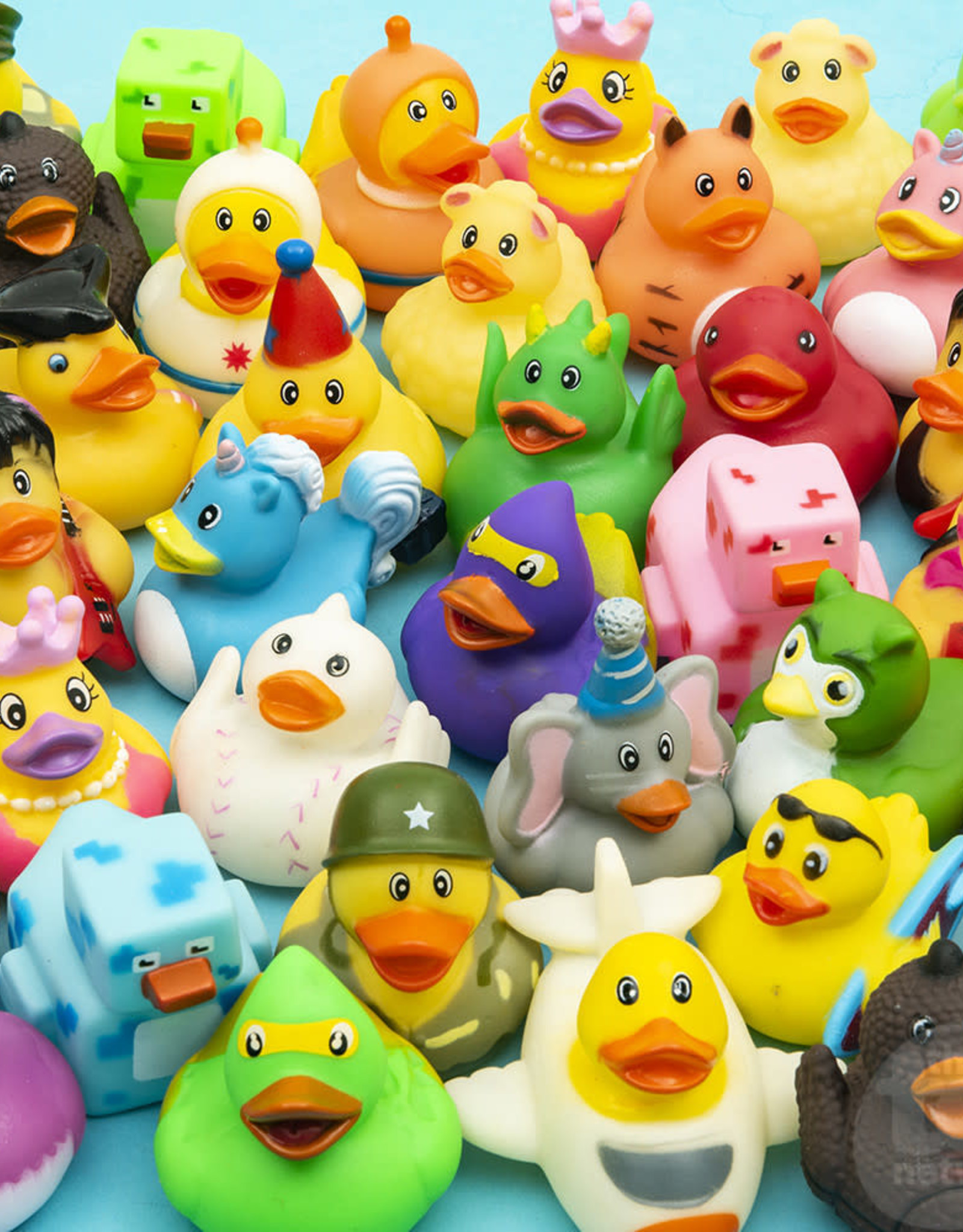 The Toy Network 2"  Rubber Duckie Assorted