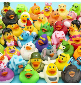 The Toy Network 2"  Rubber Duckie Assorted