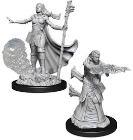 Wiz-Kids D&D Minis: W11 Female Human Wizard