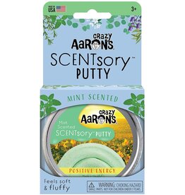 SCENTsory Positive Energy Mint Thinking Putty 2.75" Tin