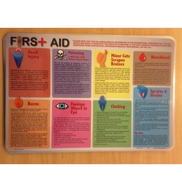 Painless Learning Products First Aid Learning Mat