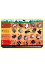 Painless Learning Products Rocks and Minerals Learning Mat