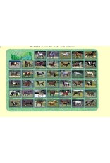 Painless Learning Products Horses Learning Mat