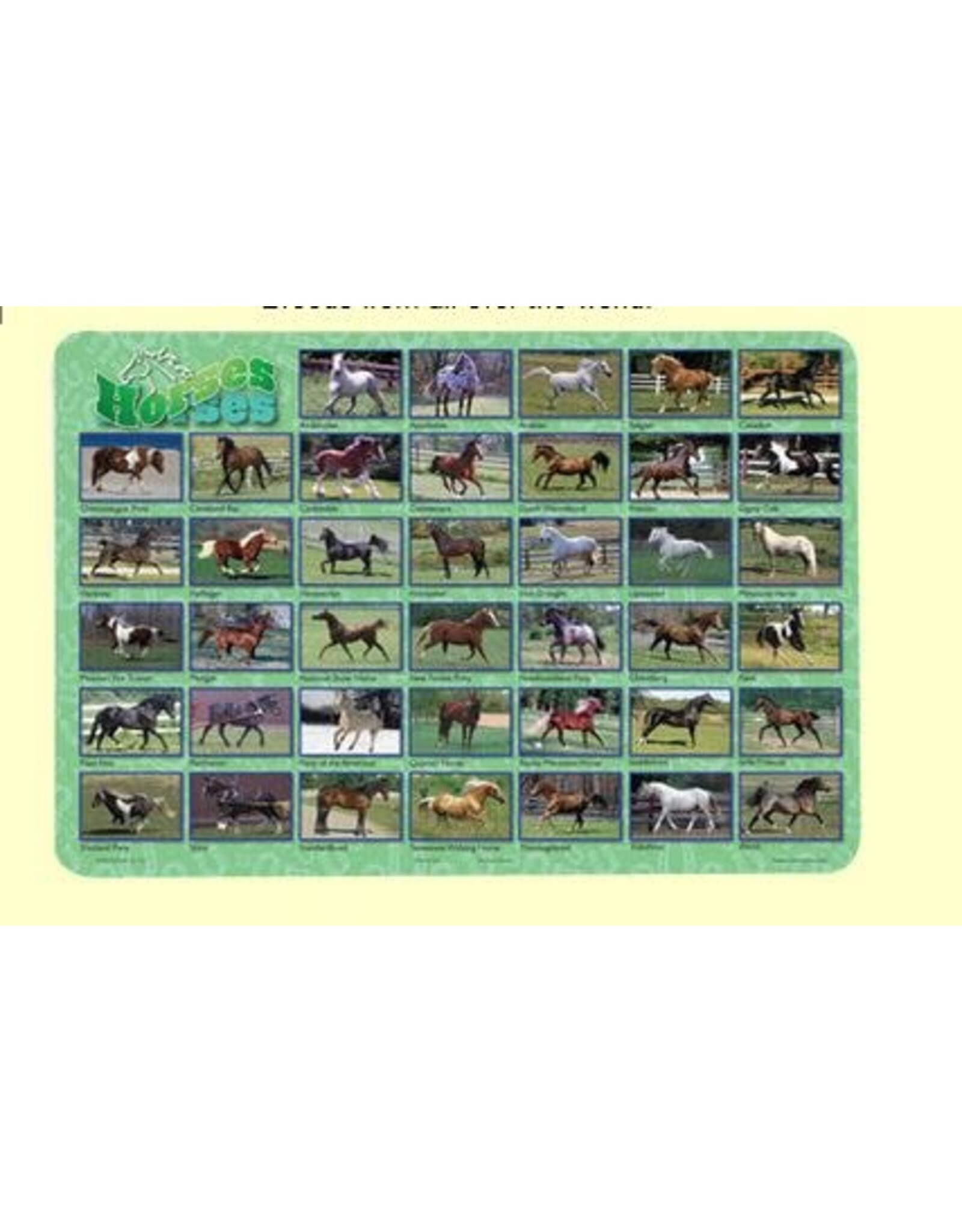 Painless Learning Products Horses Learning Mat