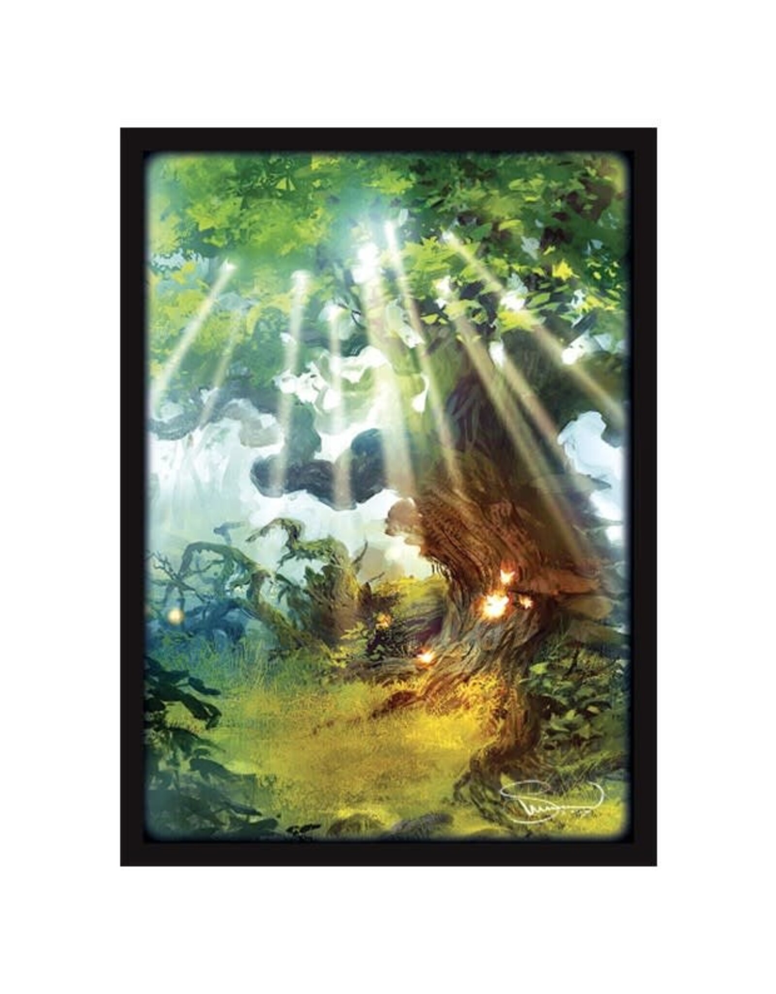 Legion Card Sleeves: Lands Forest 50ct