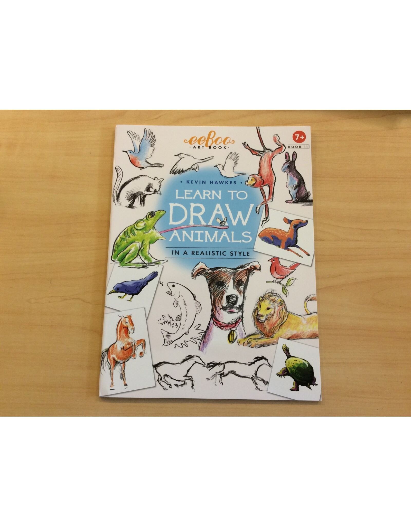 Eeboo Kevin Hawkes How to Draw Animals