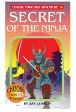 Chooseco CYOA Book: Secret of the Ninja