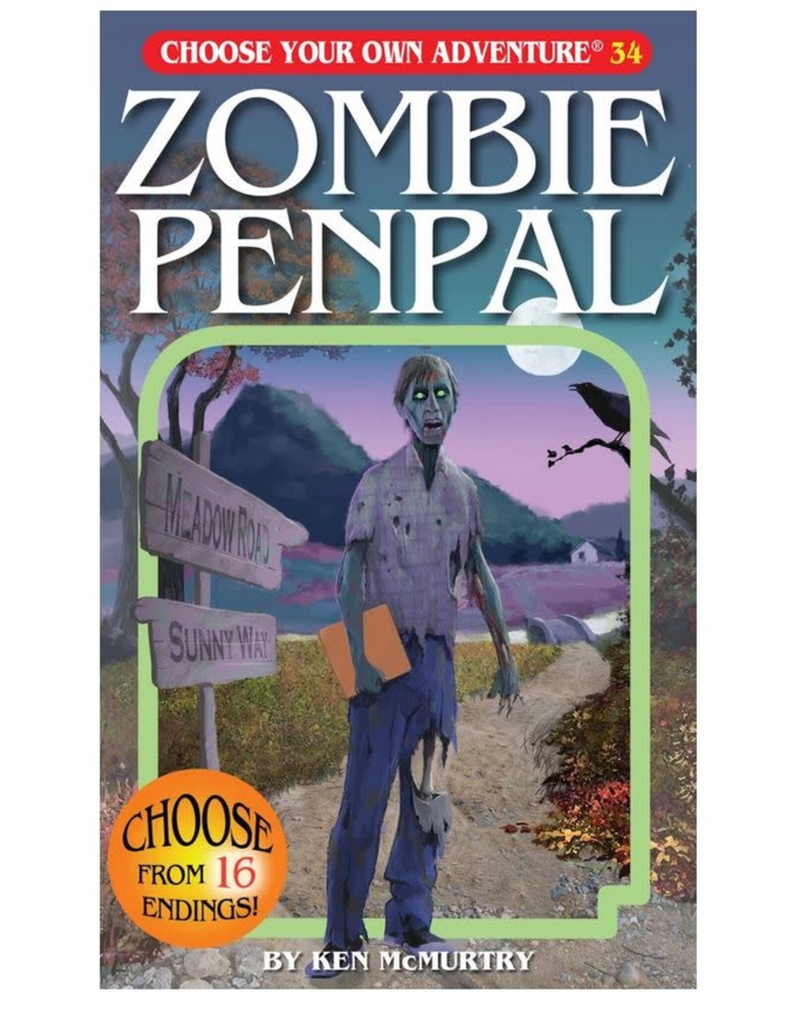 Chooseco CYOA Book: Zombie Penpal