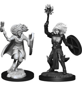 Wiz-Kids D&D Minis: W14 Changeling Clerics