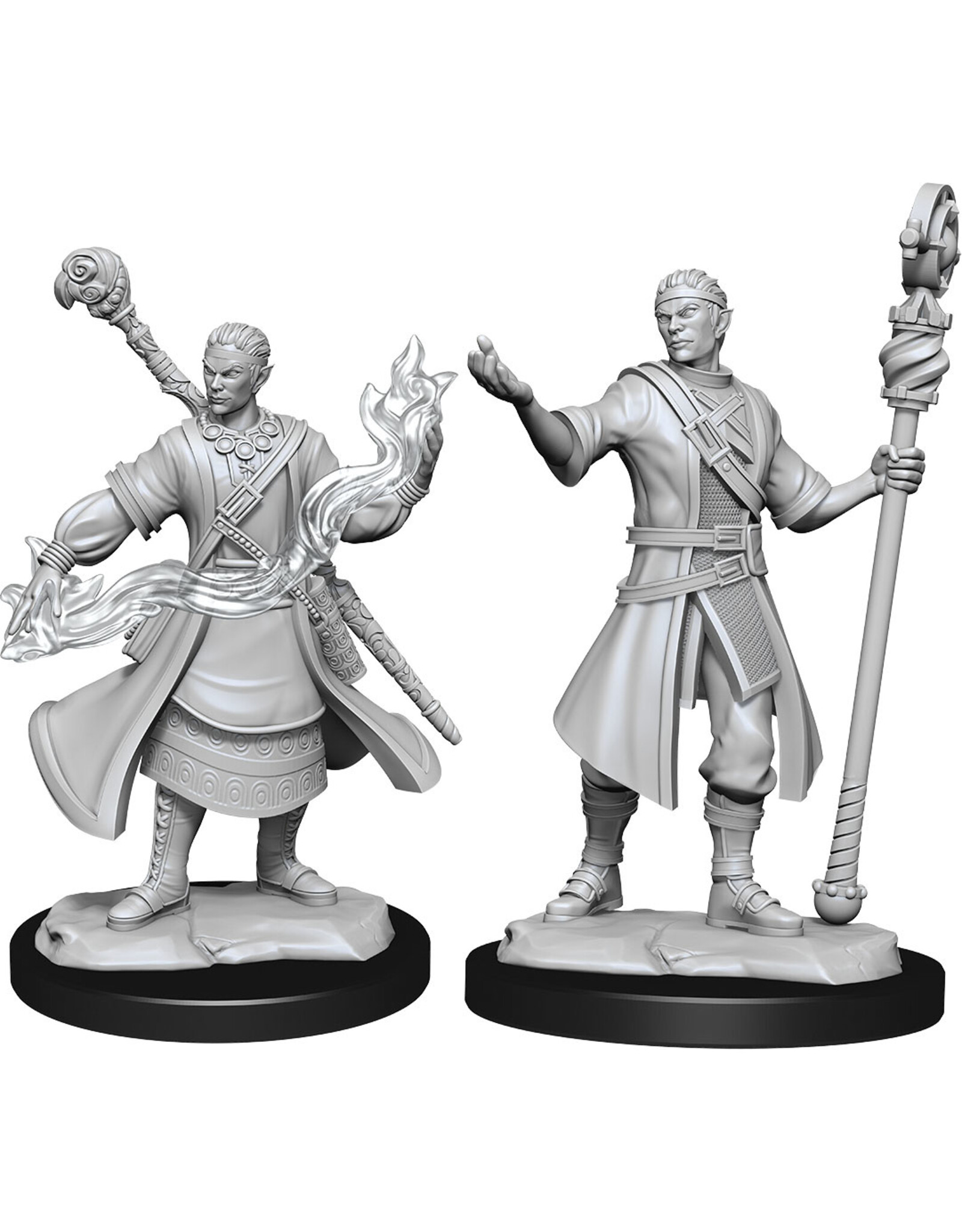 Wiz-Kids D&D Minis: W14 Half-Elf Wizard Male