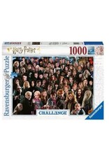Ravensburger Harry Potter Challenge 1000pc Puzzle