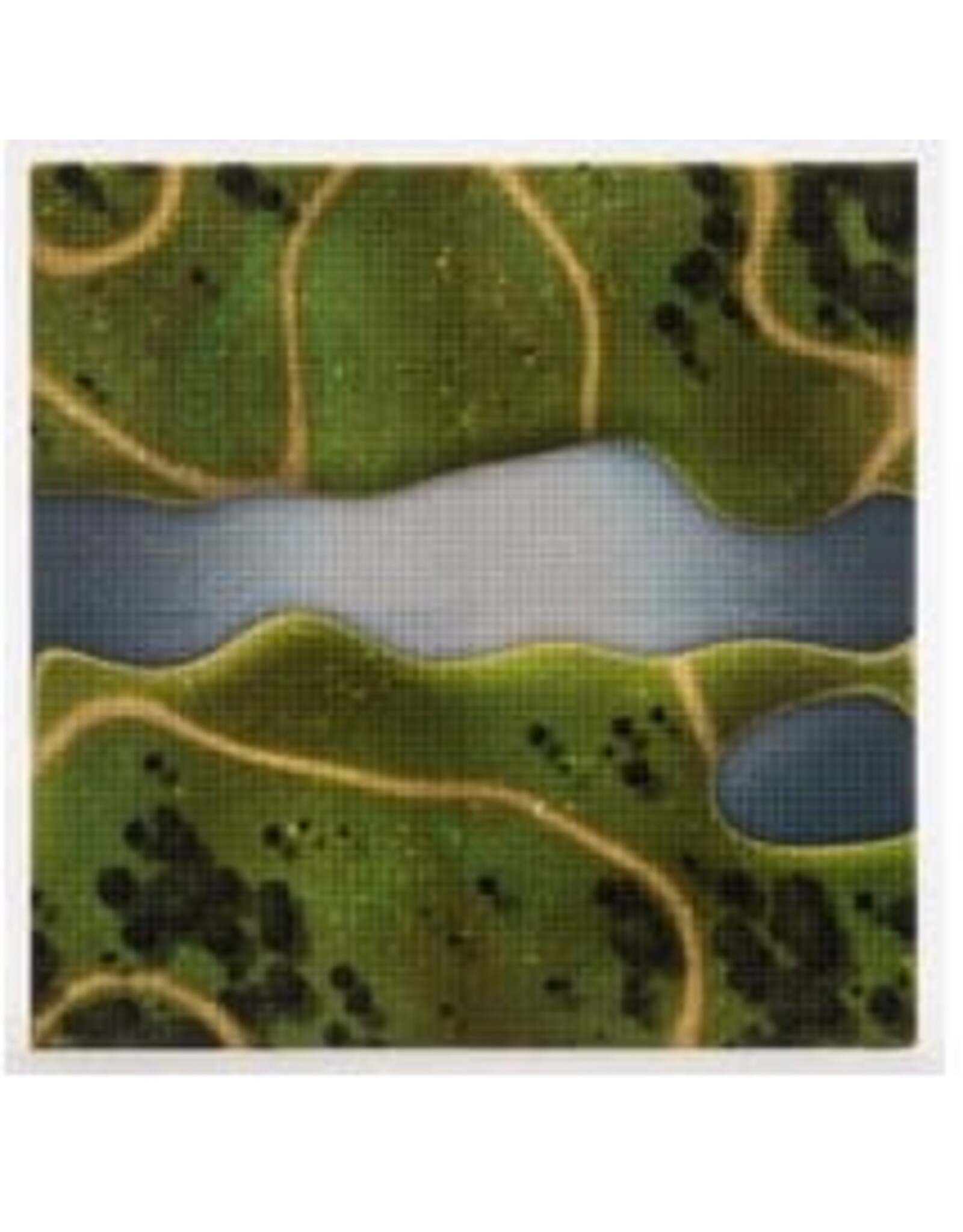 Slab Dream Lab Battlefield Landscape SlabLight Baseplate