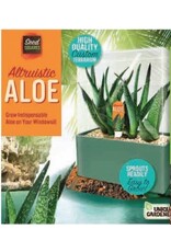 Unique Gardener Altruistic Aloe