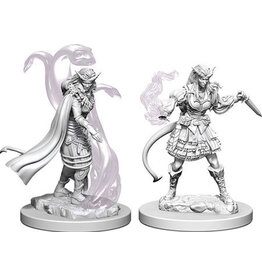Wiz-Kids D&D Minis: W4 Female Tiefling Sorceror