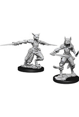 Wiz-Kids D&D Minis: W9 Female Tabaxi Rogue