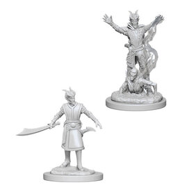 Wiz-Kids D&D Minis: W6 Male Tiefling Warlock
